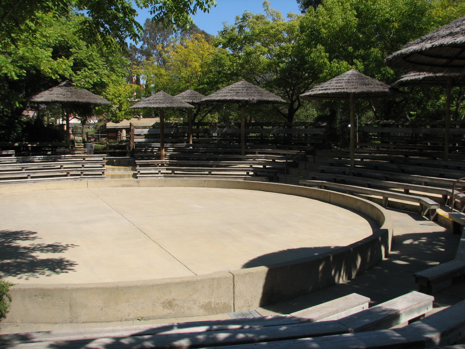 Elephant Encounter - Show Amphitheater