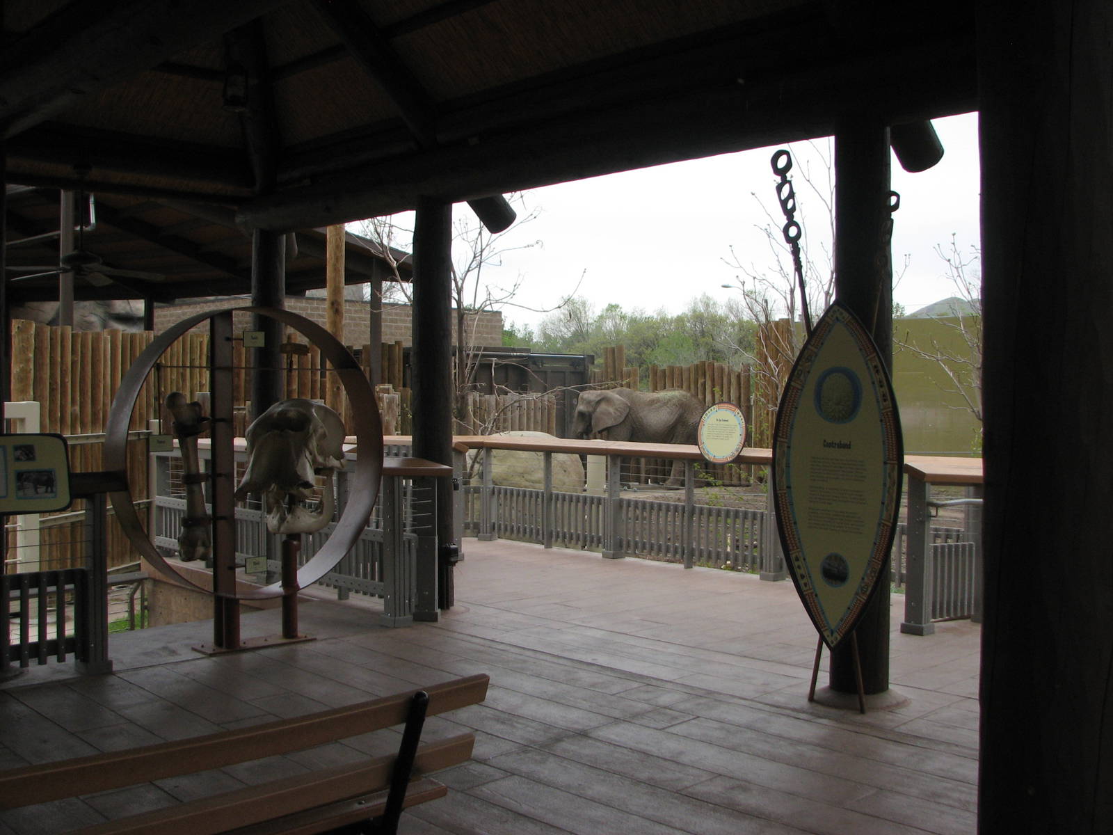 Elephant Encounter - Viewing Area