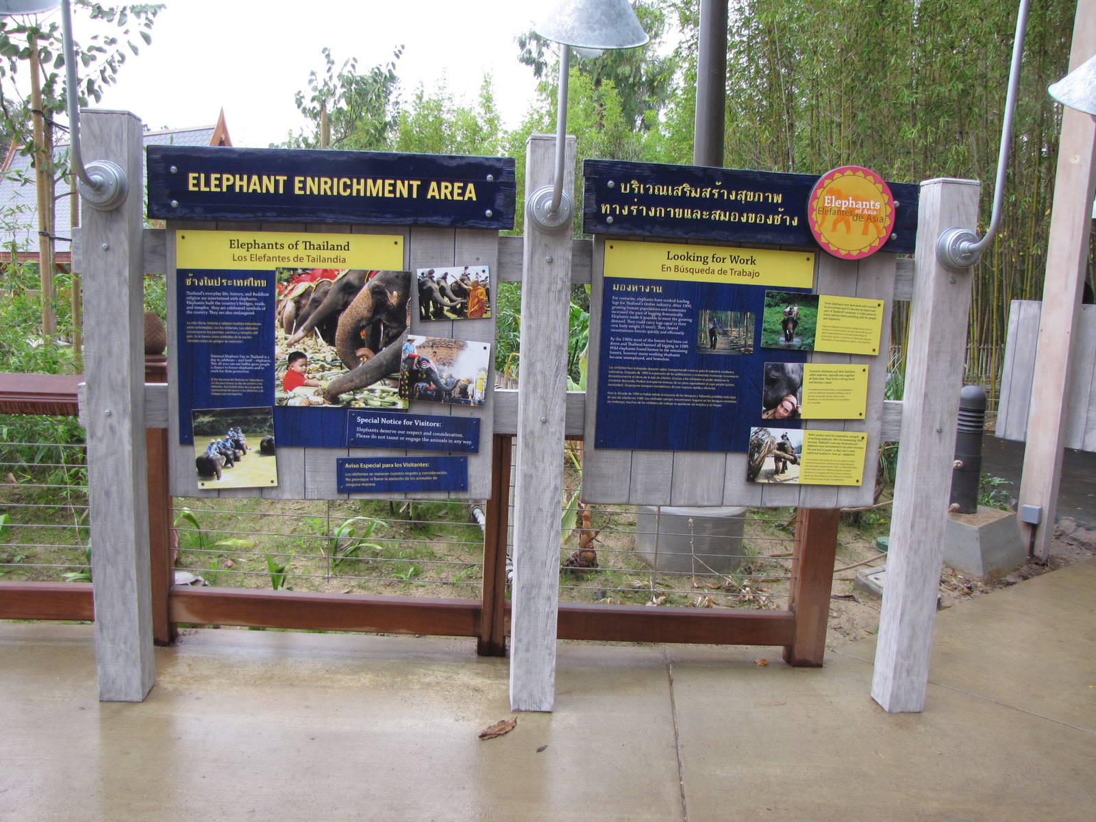 Elephant Enrichment Area - Elephants of Asia