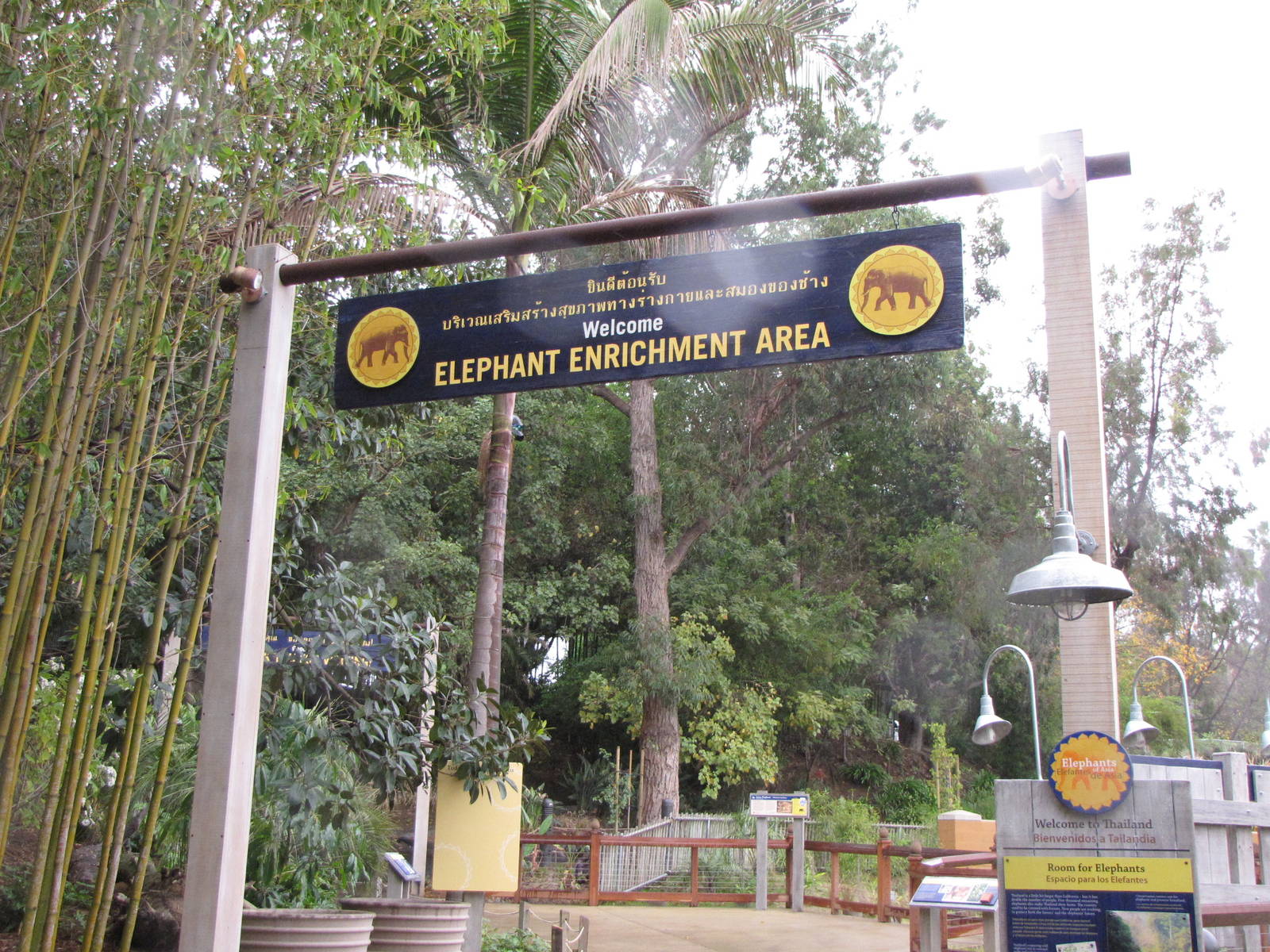 Elephant Enrichment Area