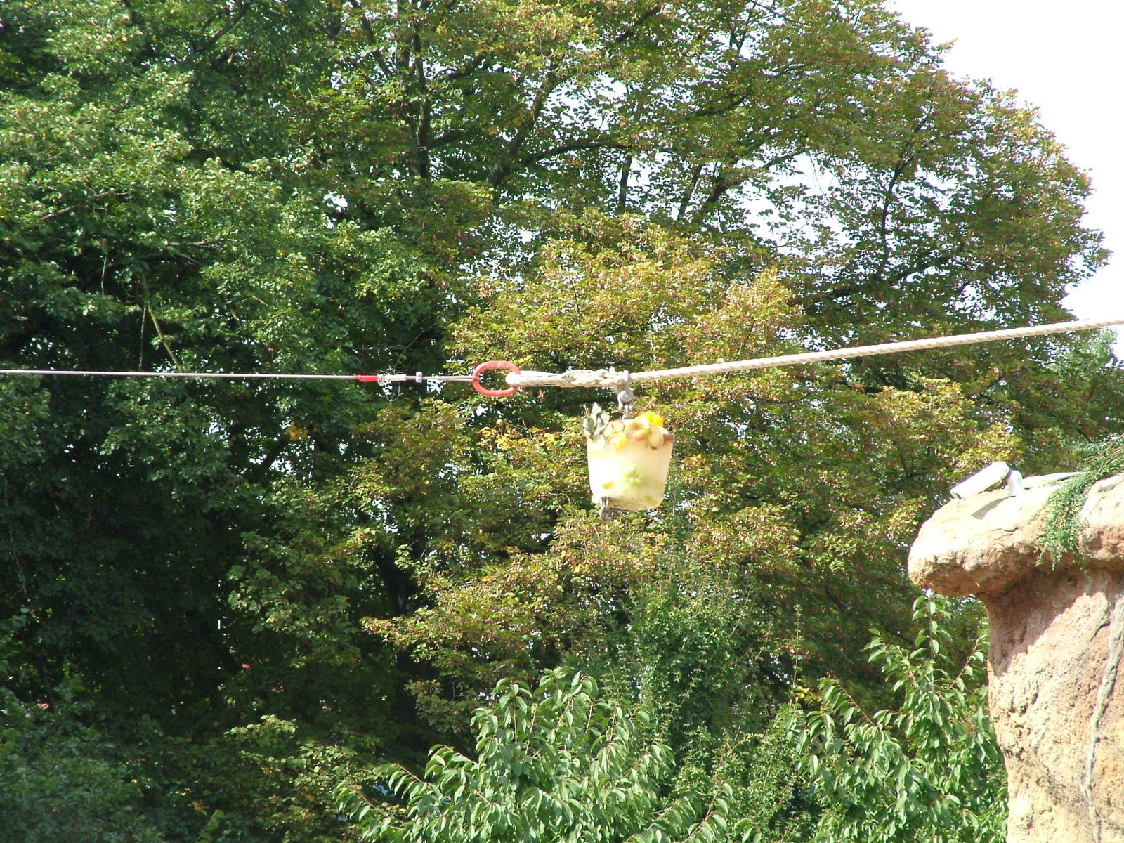 Elephant Enrichment at Heidelberg, 05/09/10