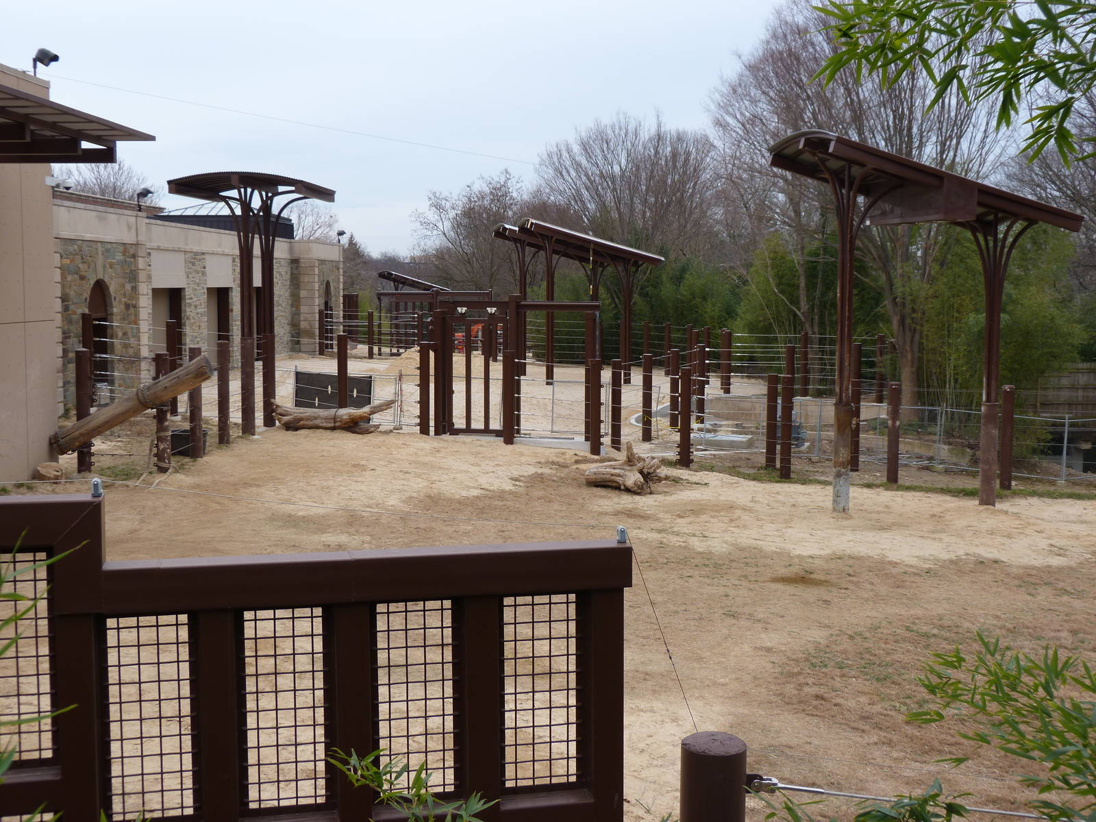 Elephant Exhibit - 1/1/2013