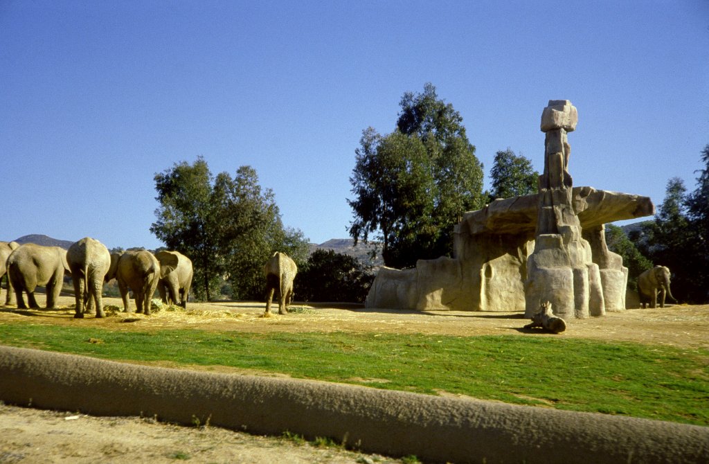 Elephant exhibit - 1981