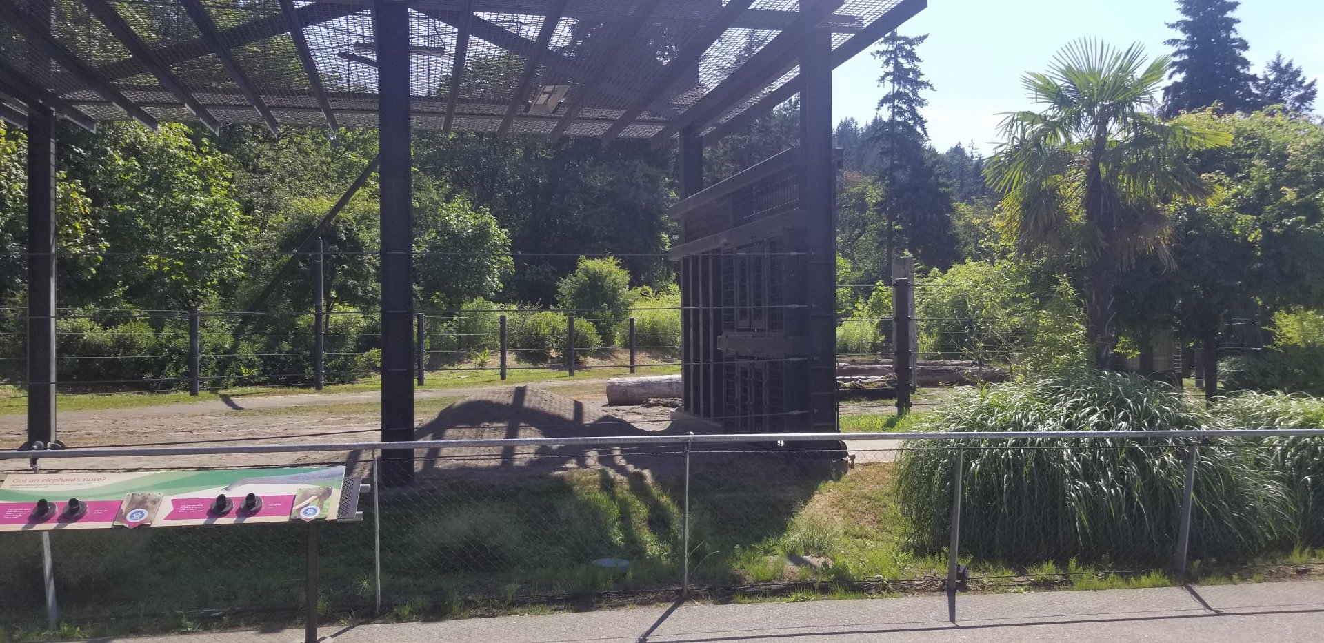 Elephant Exhibit #3
