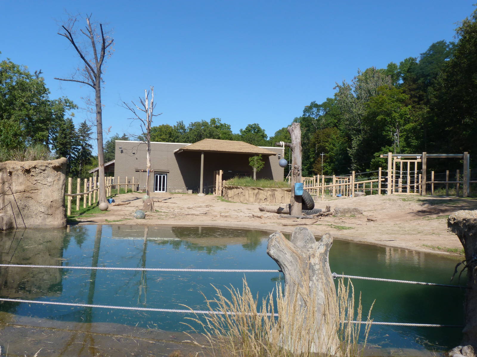 Elephant Exhibit: A Step Into Africa 9-2-12
