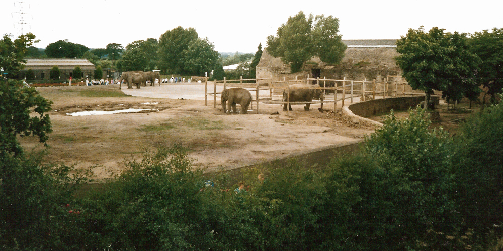 Elephant Exhibit - Around 1990