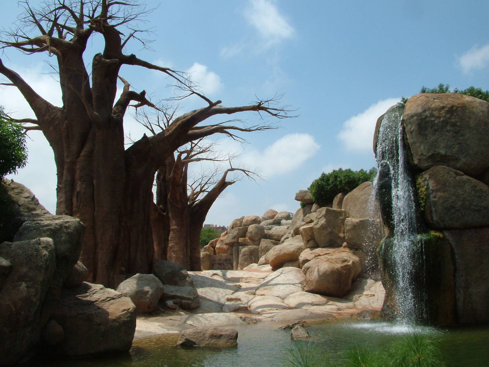 Elephant Exhibit at Bioparc Valencia, 28/05/11