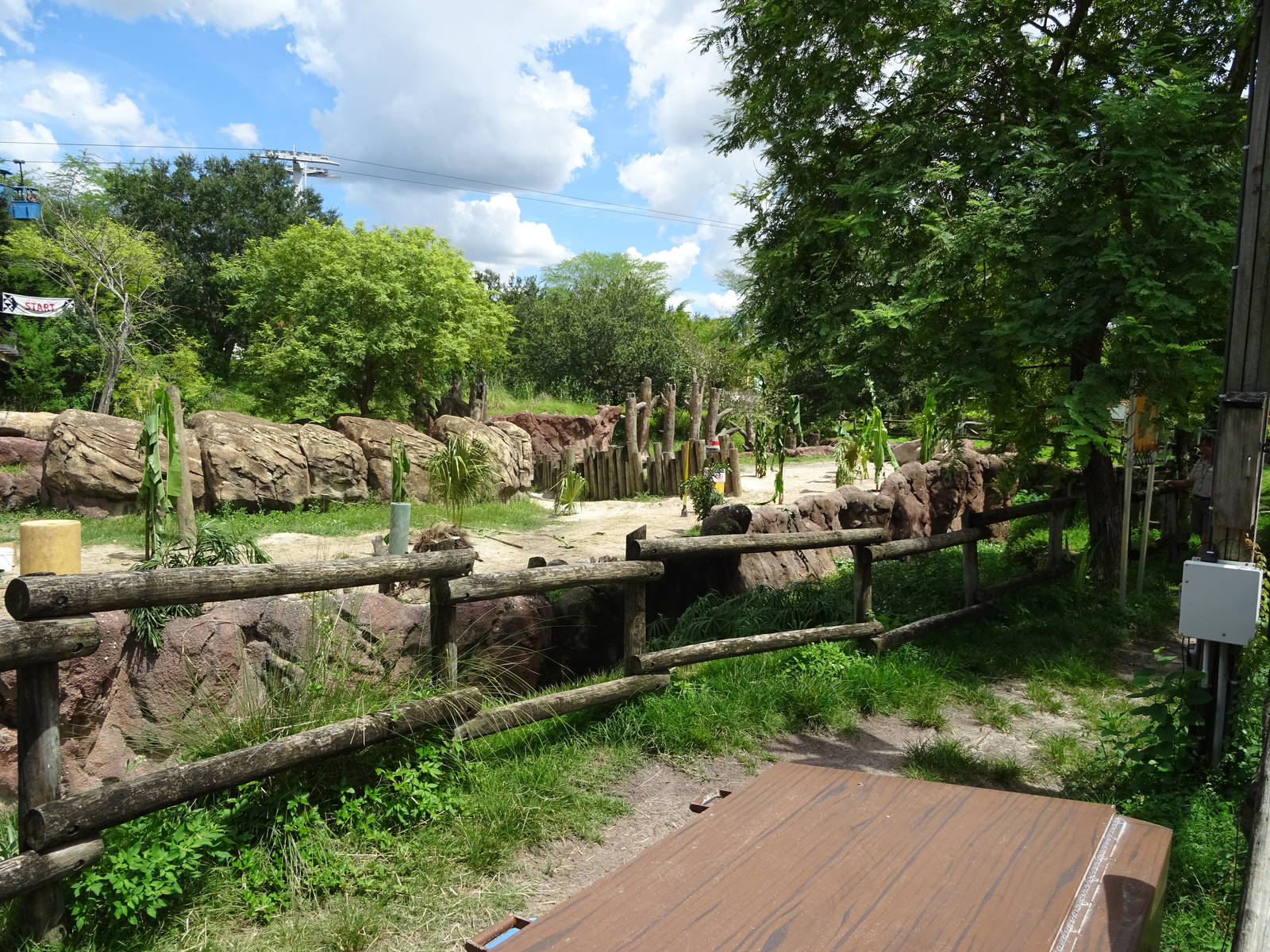 Elephant Exhibit at Busch Gardens Tampa