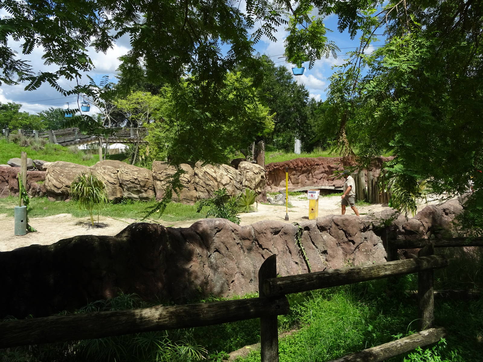 Elephant Exhibit at Busch Gardens Tampa