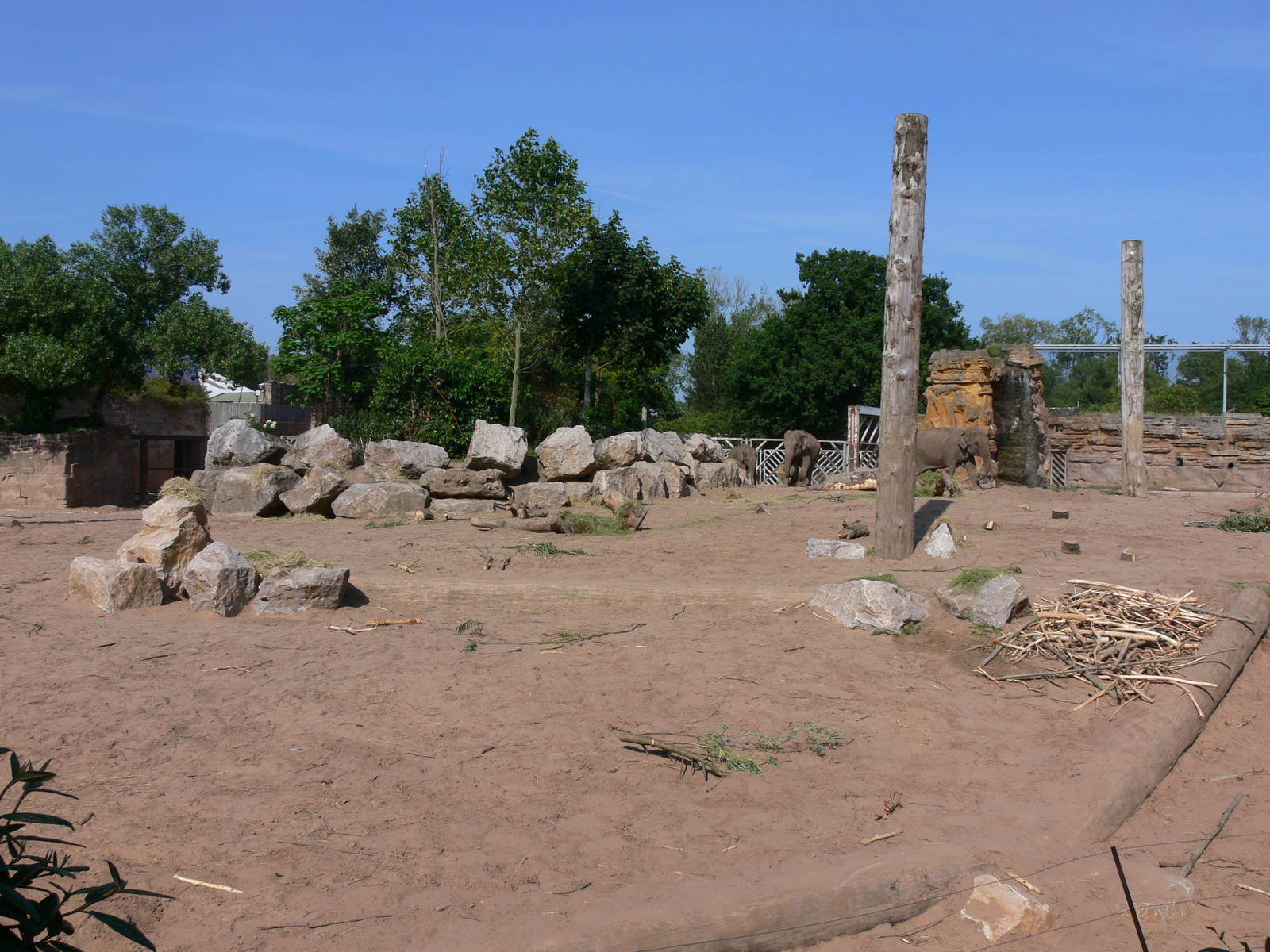 Elephant exhibit at Chester Zoo, 06/07/13