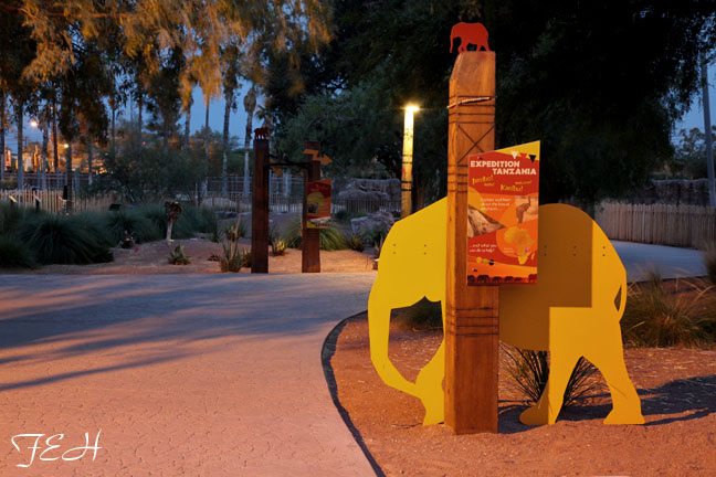 elephant exhibit at dusk