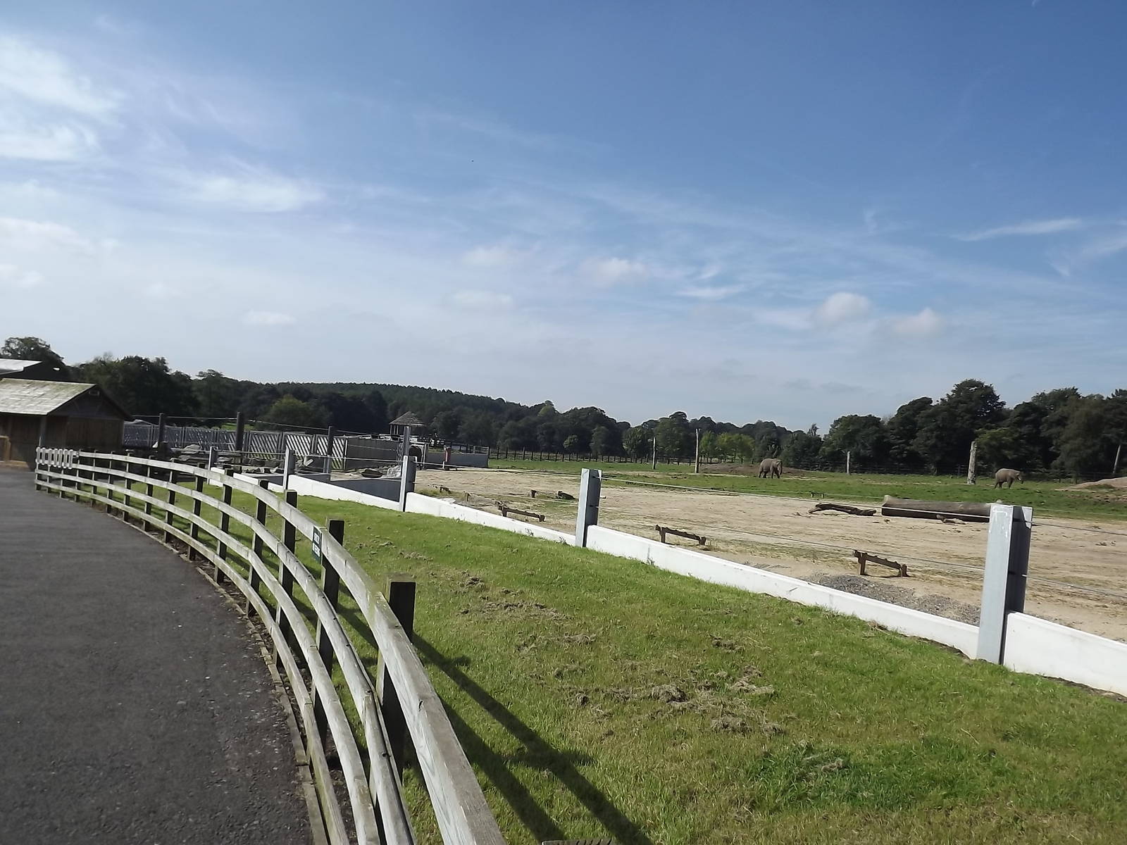 Elephant exhibit at Knowsley Safari Park 08/09/12