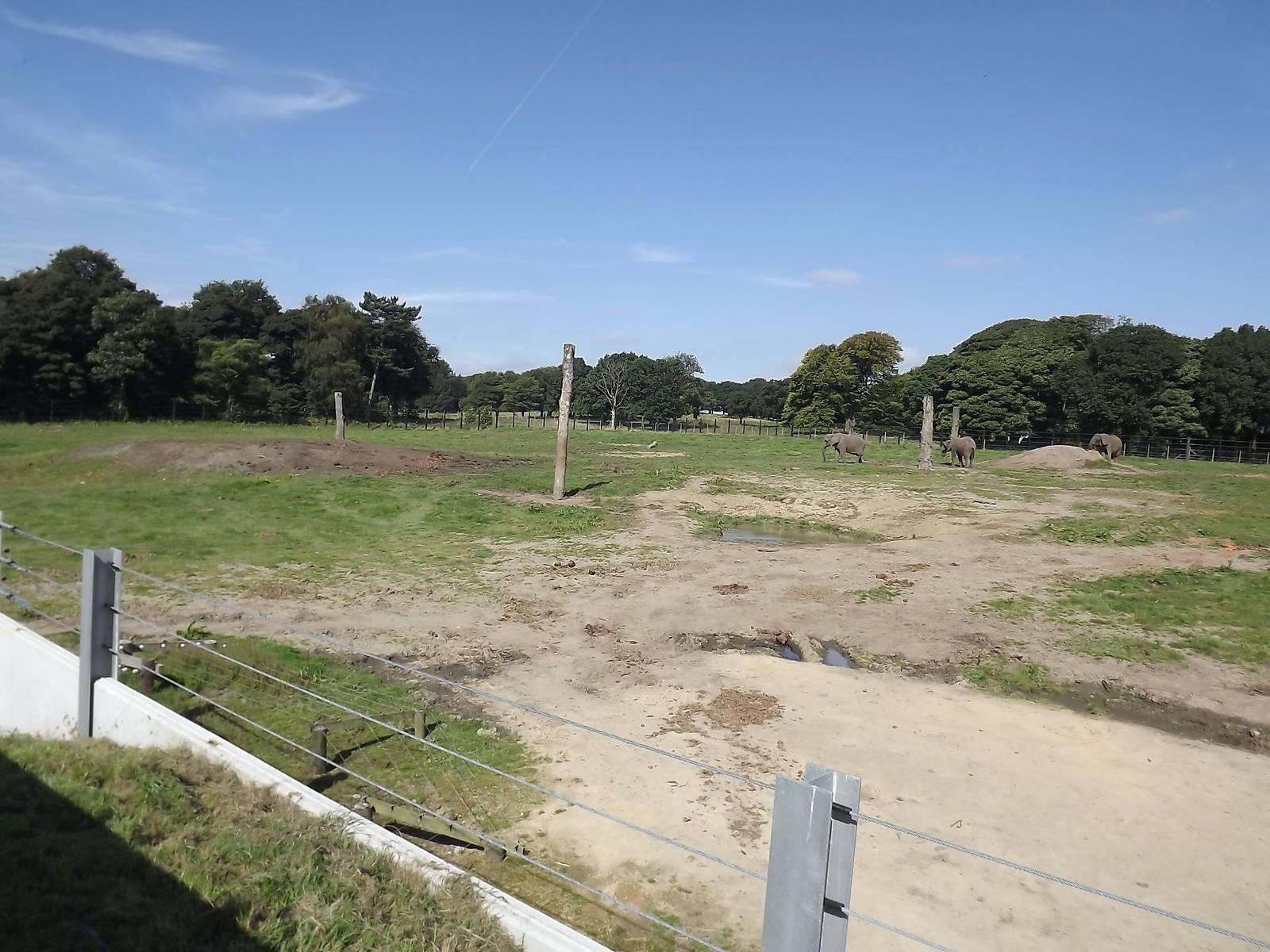 Elephant exhibit at Knowsley Safari Park 08/09/12