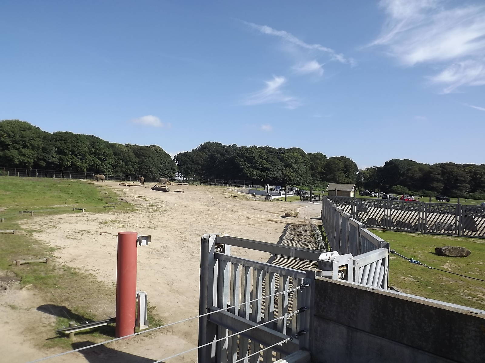 Elephant exhibit at Knowsley Safari Park 08/09/12