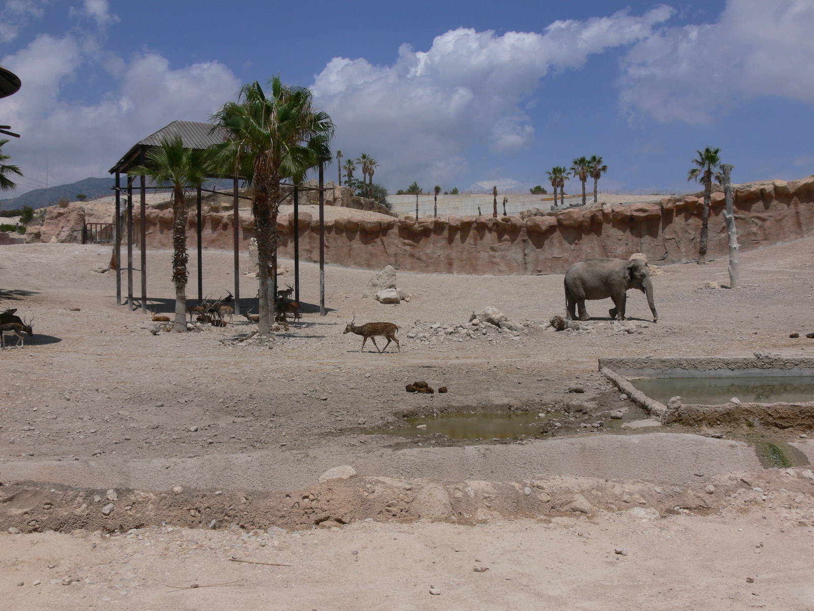 Elephant Exhibit at Terra Natura, 03/08/14