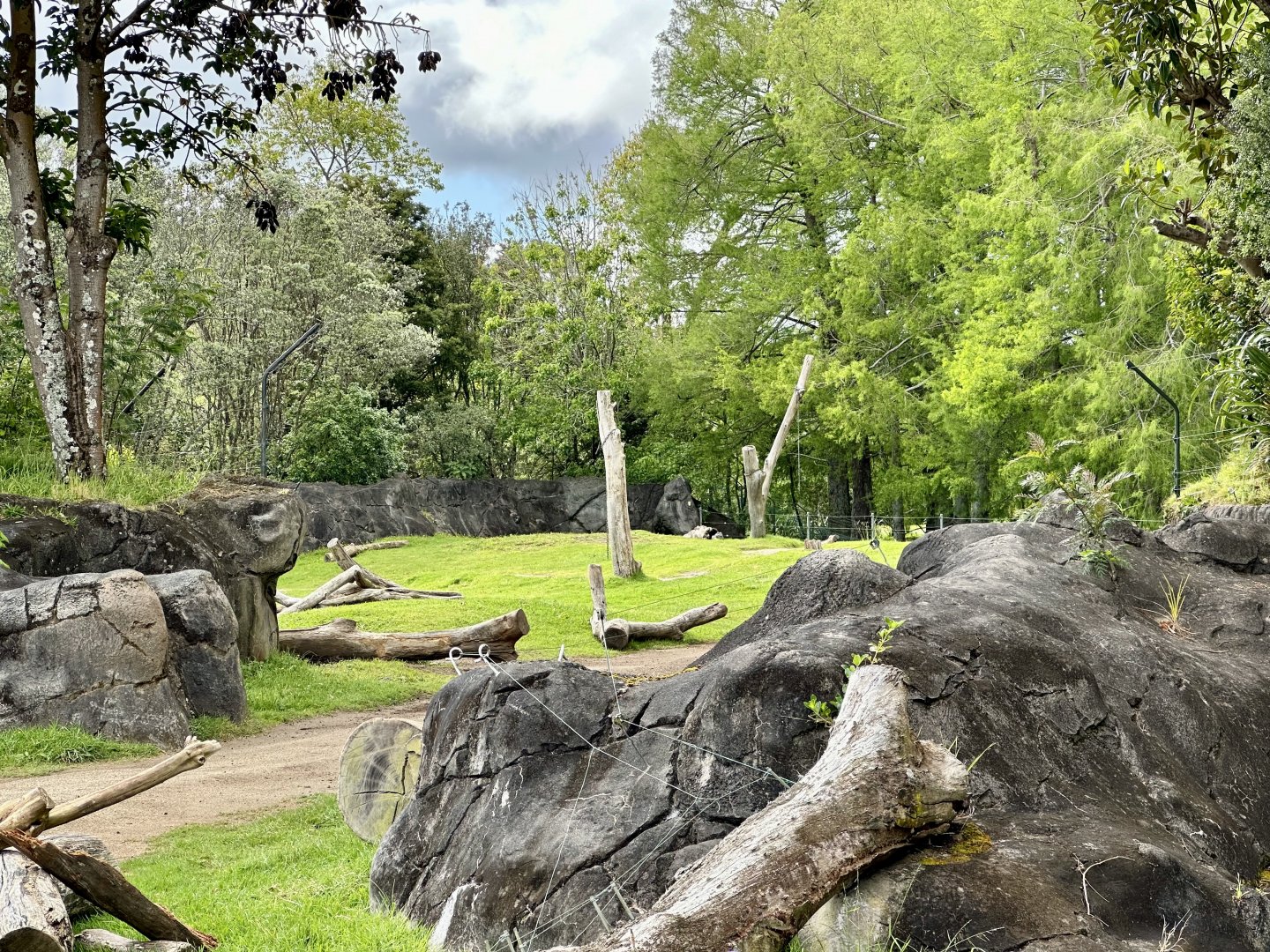 Elephant Exhibit (Back Paddock)