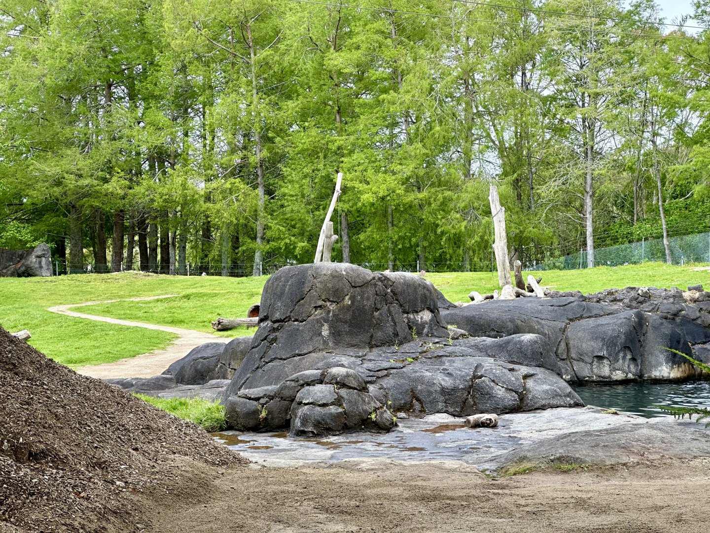 Elephant Exhibit (Back Paddock)