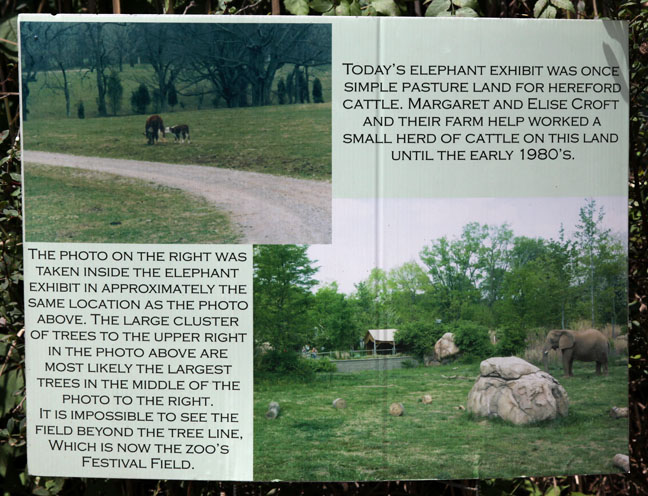 elephant exhibit before and after