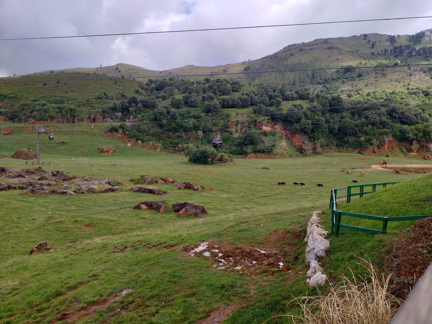 Elephant exhibit-Cabarceno (2019)