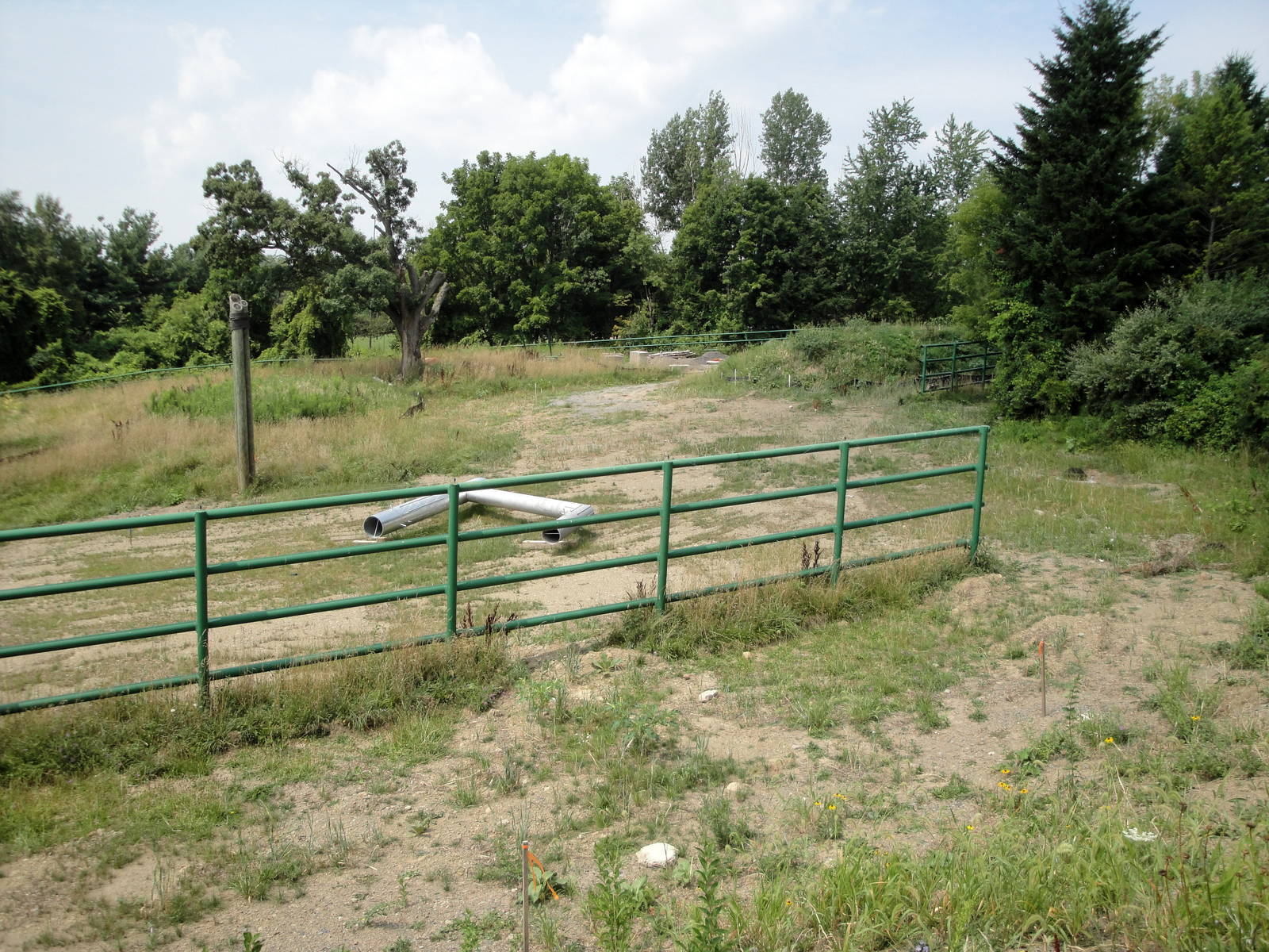 Elephant Exhibit Construction