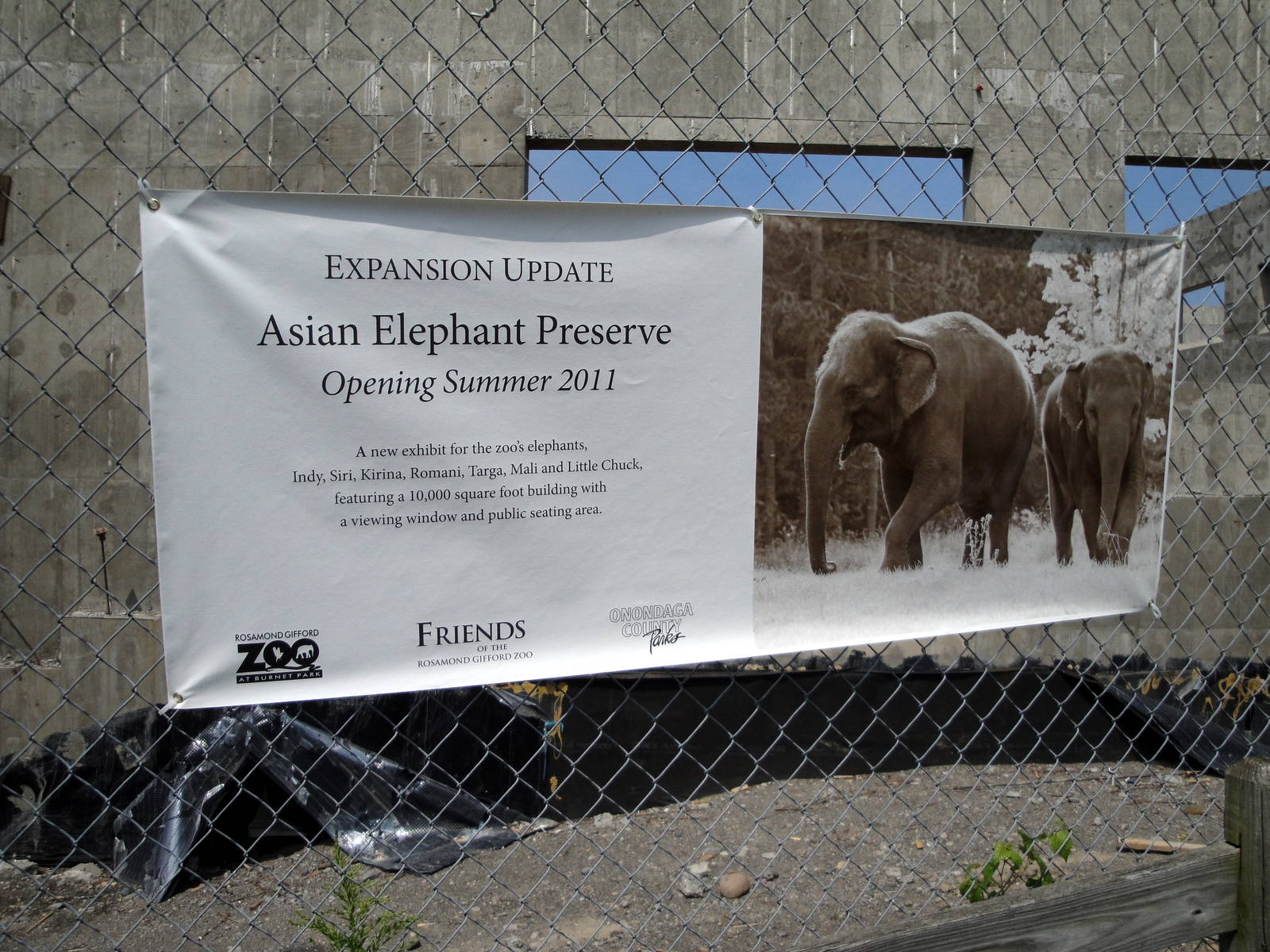 Elephant Exhibit Construction