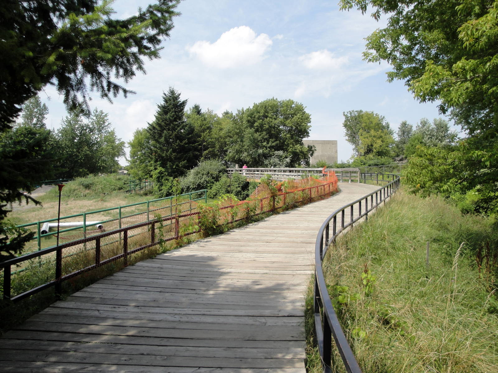 Elephant Exhibit Construction