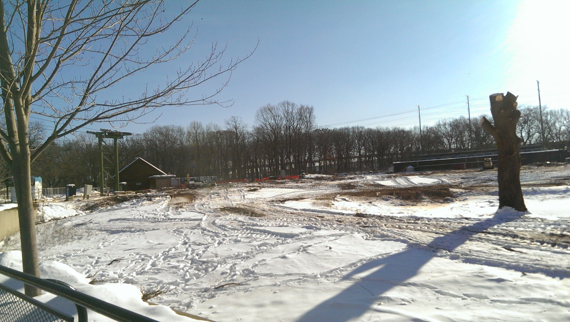 Elephant exhibit construction