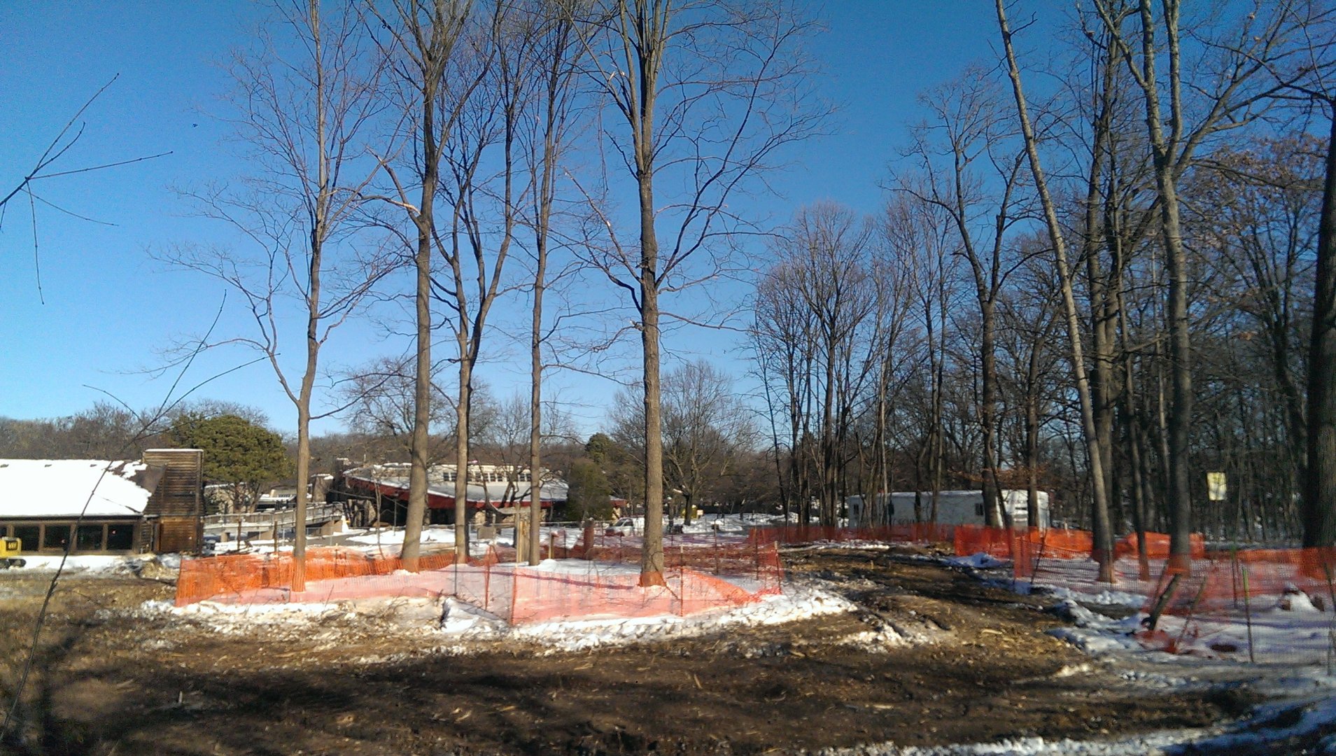 Elephant exhibit construction