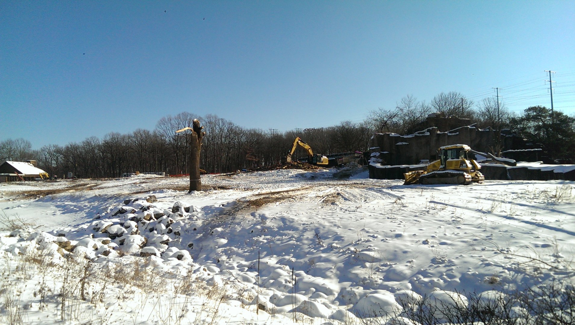 Elephant exhibit construction