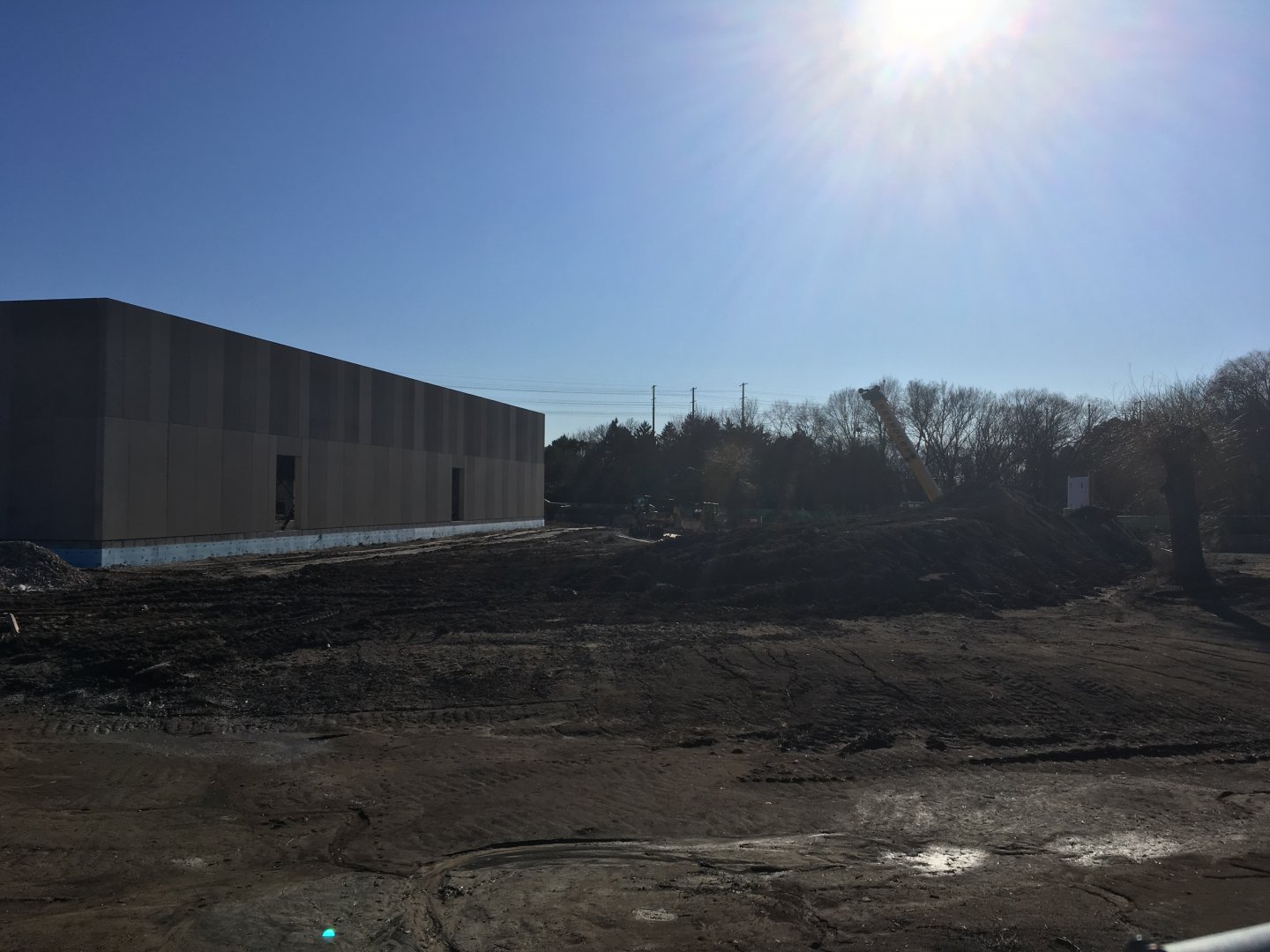 Elephant Exhibit Construction
