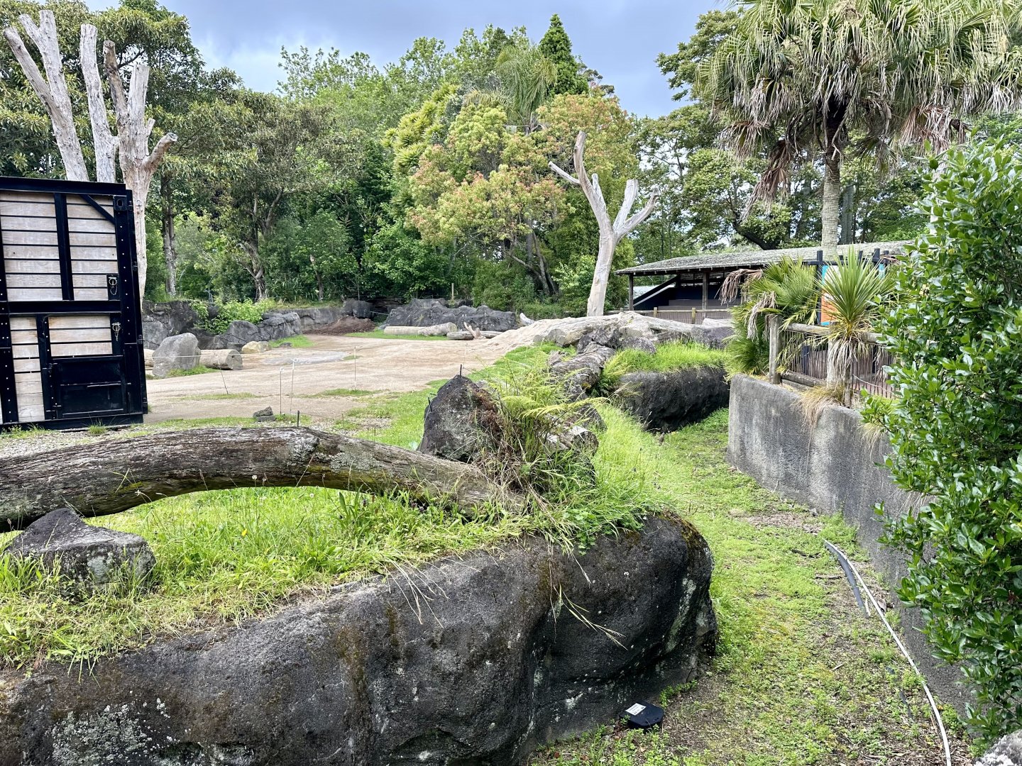 Elephant Exhibit (Dry Moat)