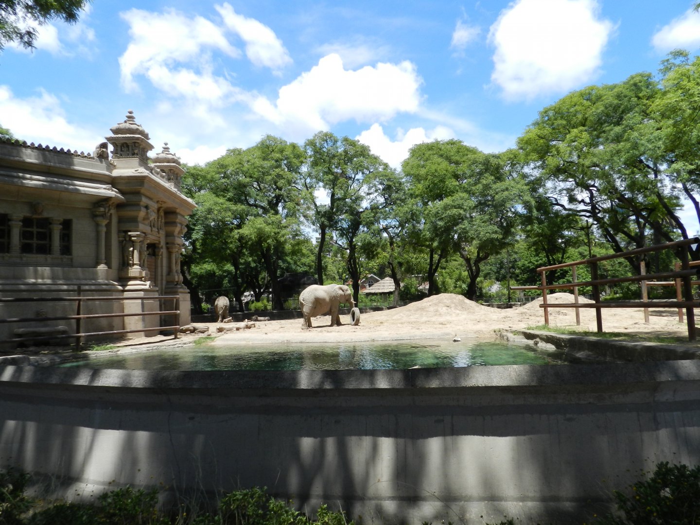 Elephant exhibit - Ecoparque BA