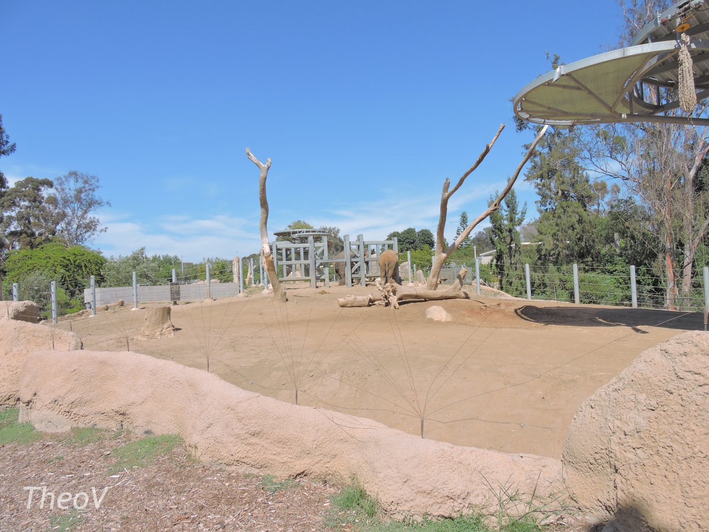 Elephant exhibit - Elephant Odyssey [2015]