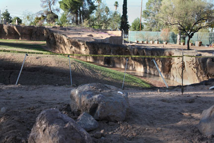 elephant exhibit - first look