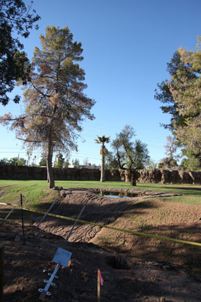 elephant exhibit - first look