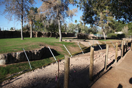 elephant exhibit - first look