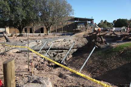 elephant exhibit - first look