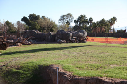 elephant exhibit - first look