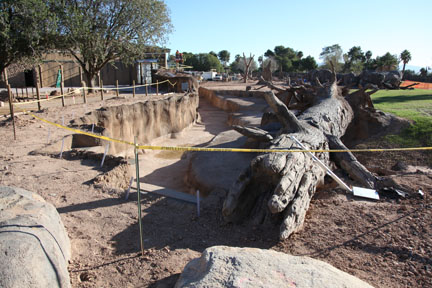 elephant exhibit - first look