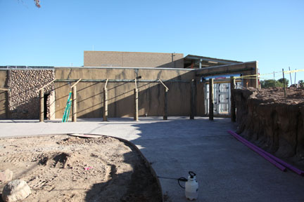 elephant exhibit - first look