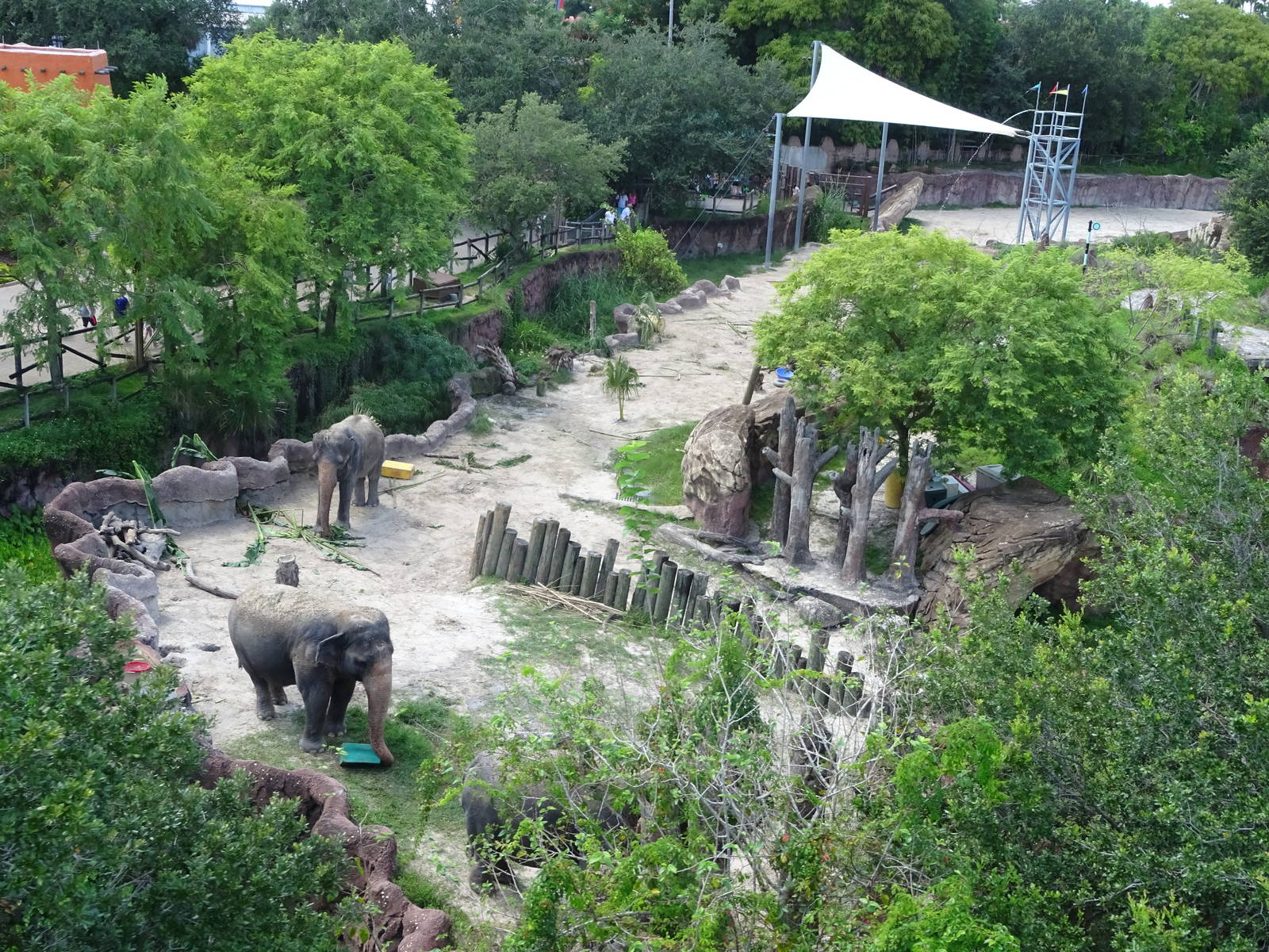 Elephant Exhibit From Above at Busch Gardens Tampa