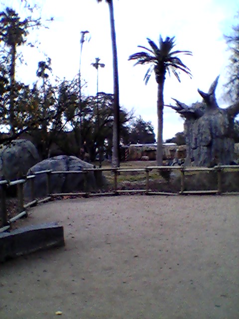 Elephant exhibit overlook
