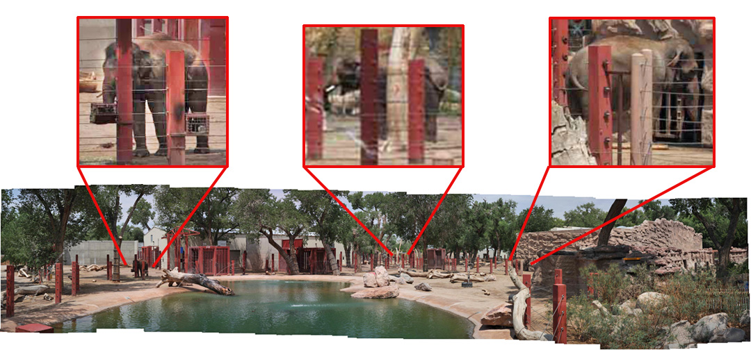 elephant exhibit panorama