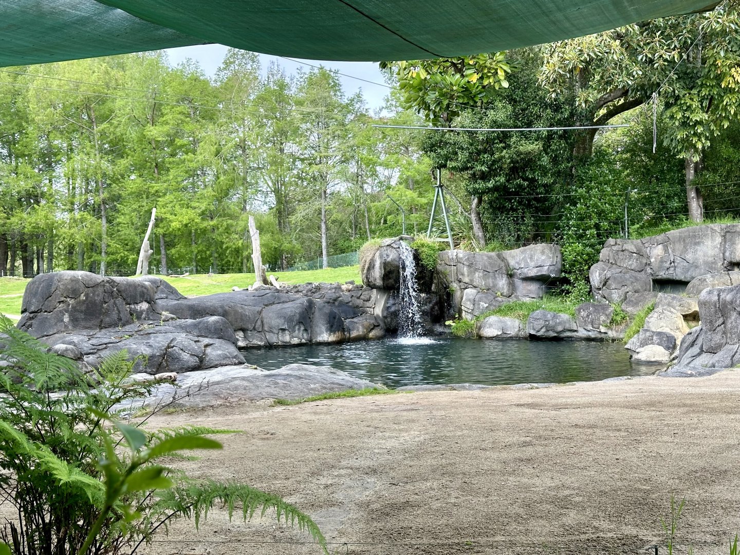 Elephant Exhibit (Pool)