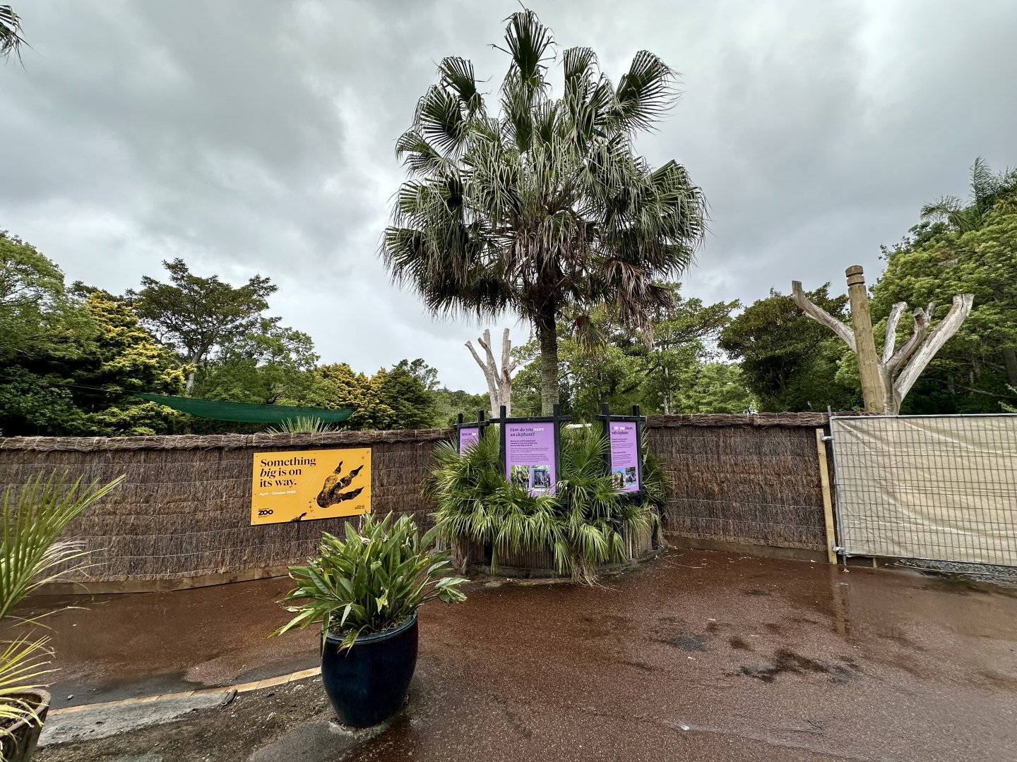 Elephant Exhibit (Redevelopment)