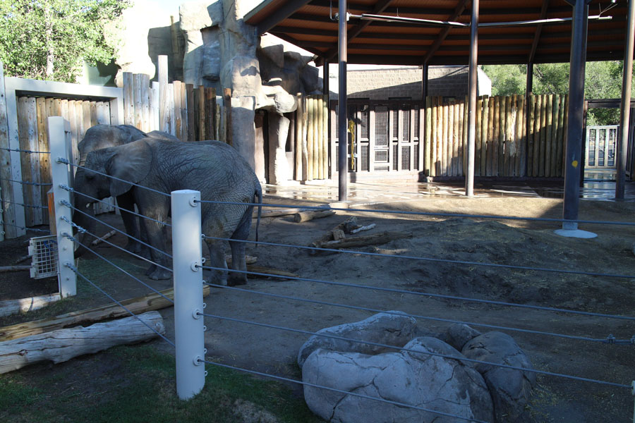 elephant exhibit (small)