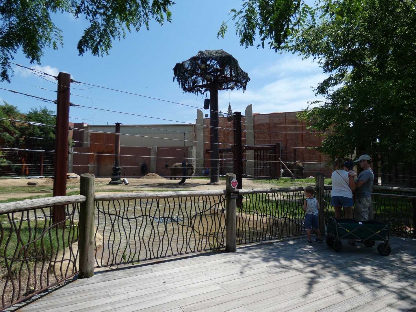 Elephant Exhibit, Tembo Trail - July 2021