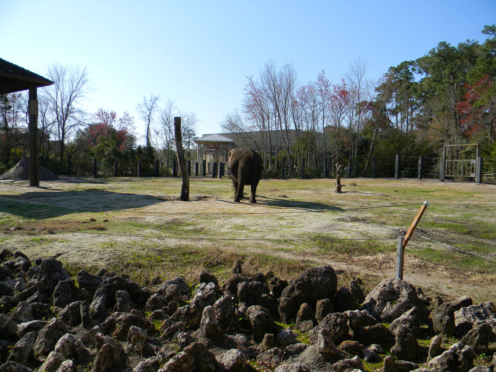 Elephant Exhibit