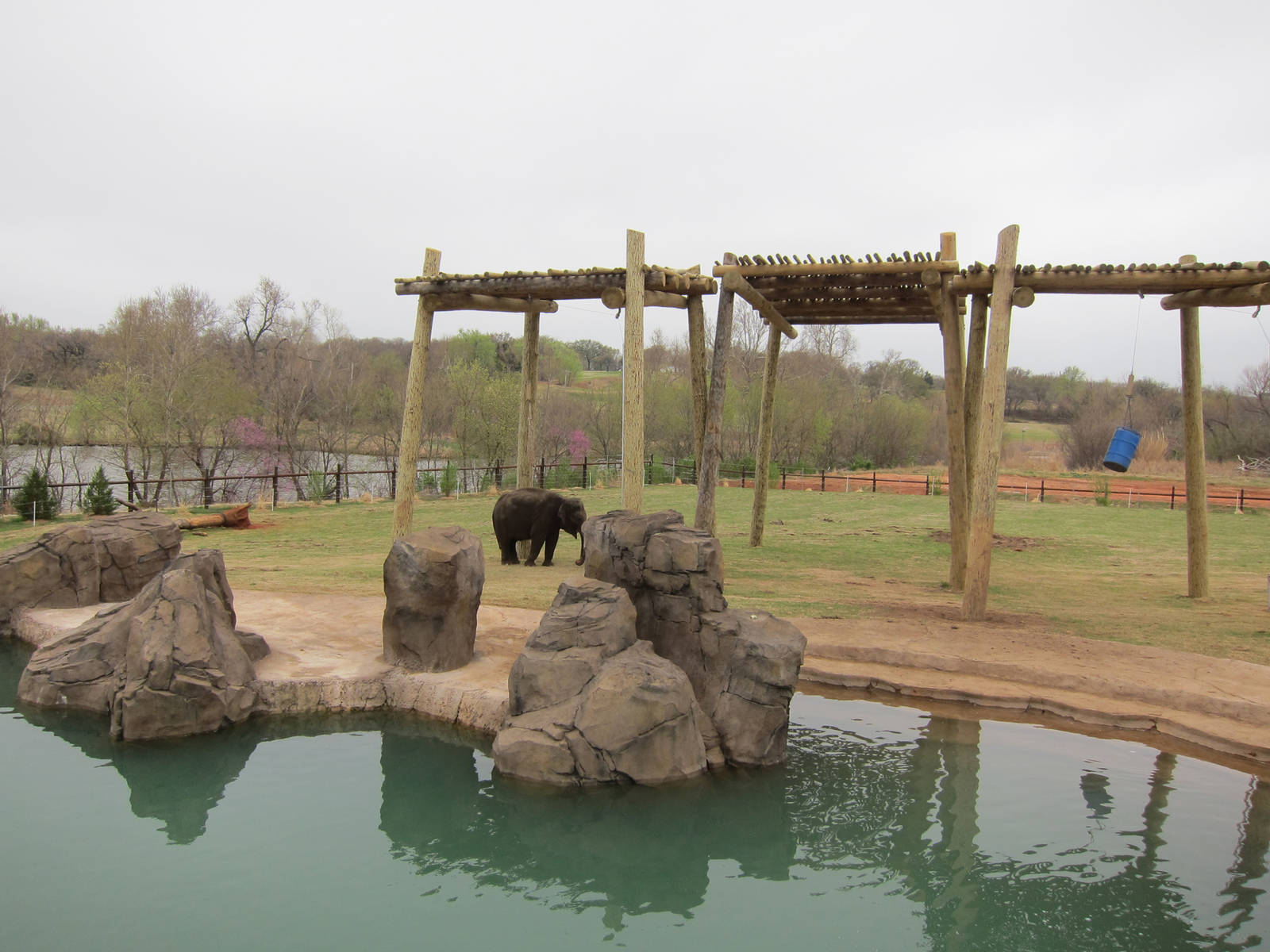 Elephant Exhibit