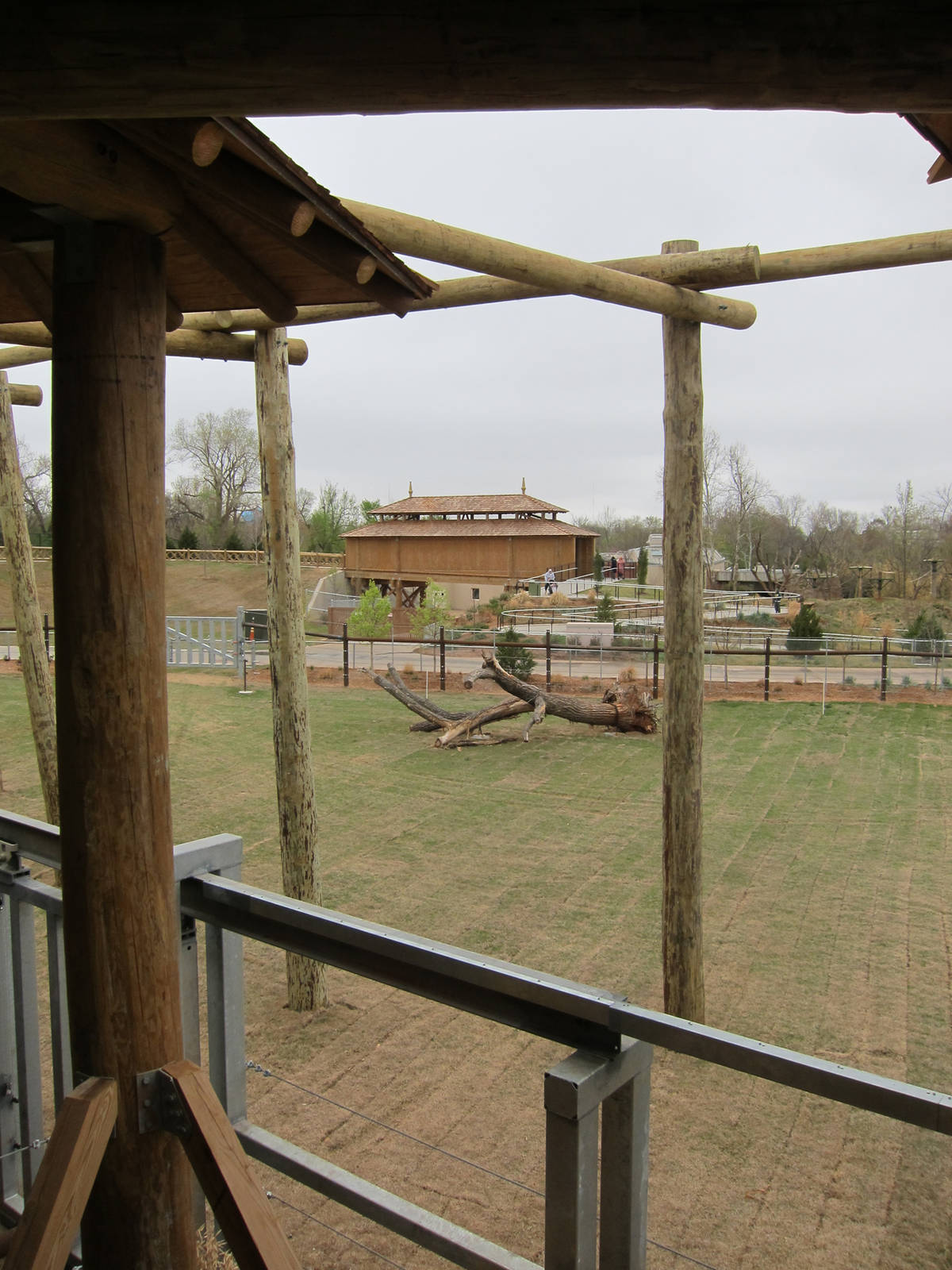 Elephant Exhibit
